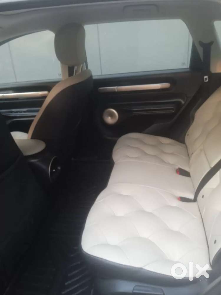 Mg Windsor Ev, 2025, Electric