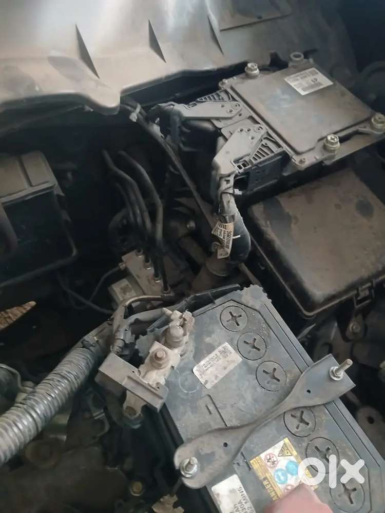 Maruti Suzuki Celerio 2023 Petrol Well Maintained