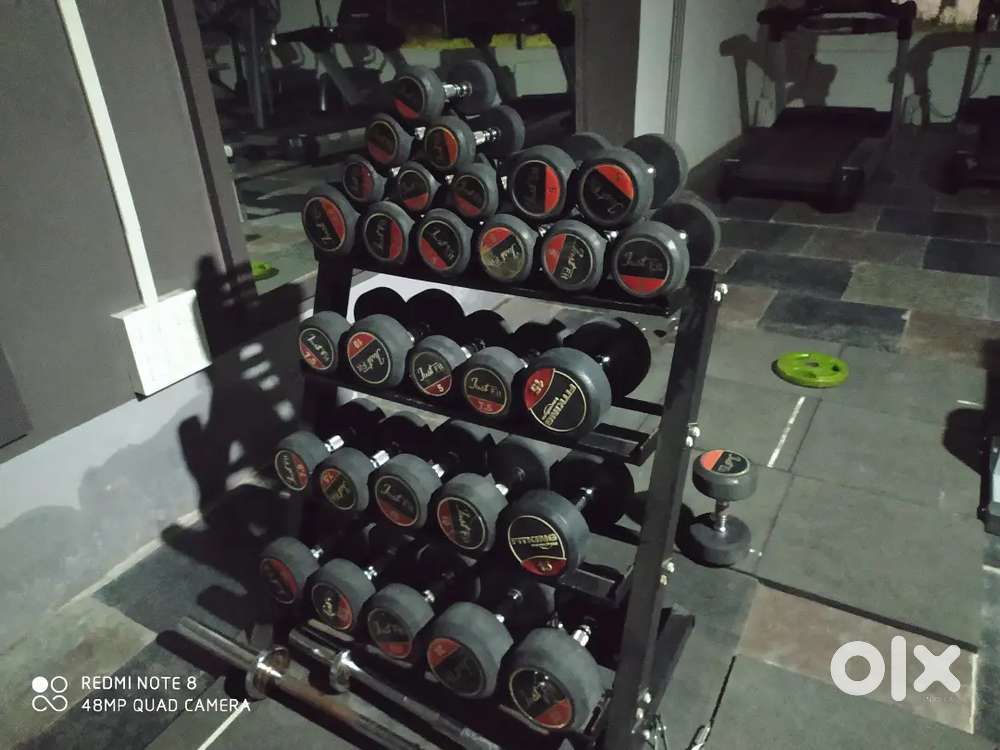 300 kg dumbbells