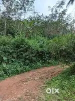 3 acres Land at karuvanchal Palakkayam thattu