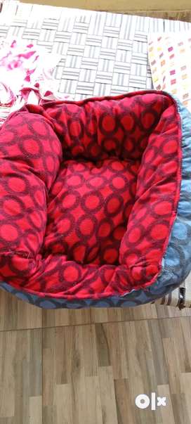 Dog hotsell bed olx