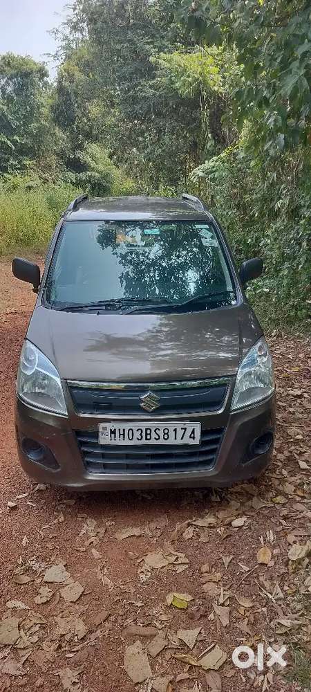 Maruti Suzuki Wagon R 2014 Lxi Cng