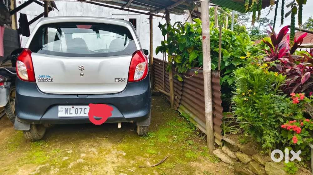 Maruti Suzuki Alto 2014