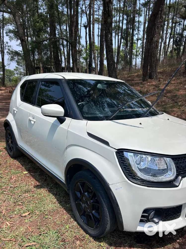 Maruti Suzuki Ignis 2019 Alpha Variant