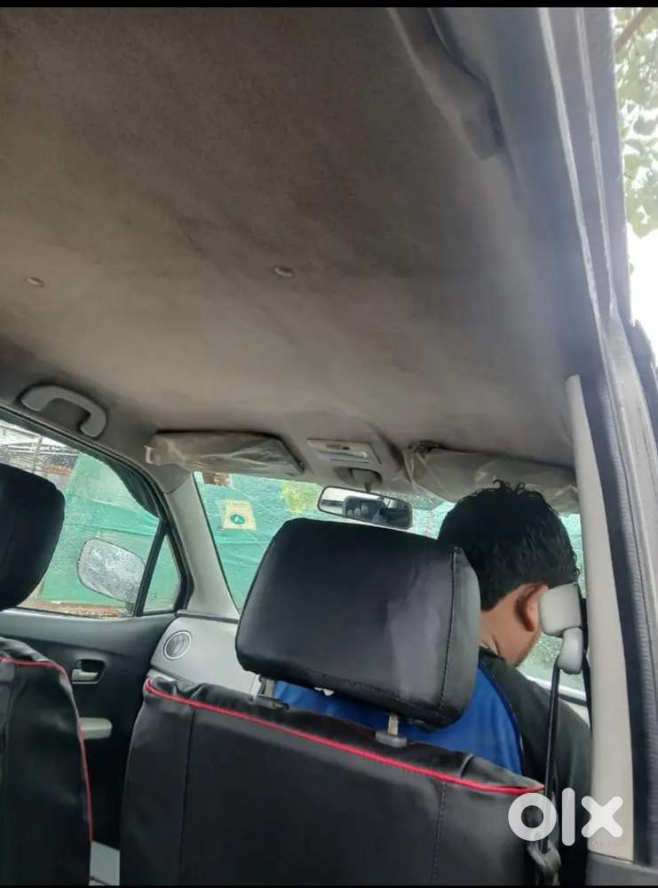 Maruti Suzuki Wagon R Flex Fuel 2010