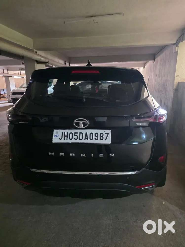 Harrier Mint Condition