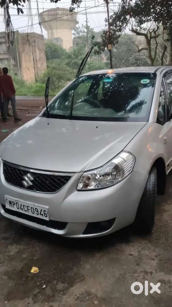 2010 Model