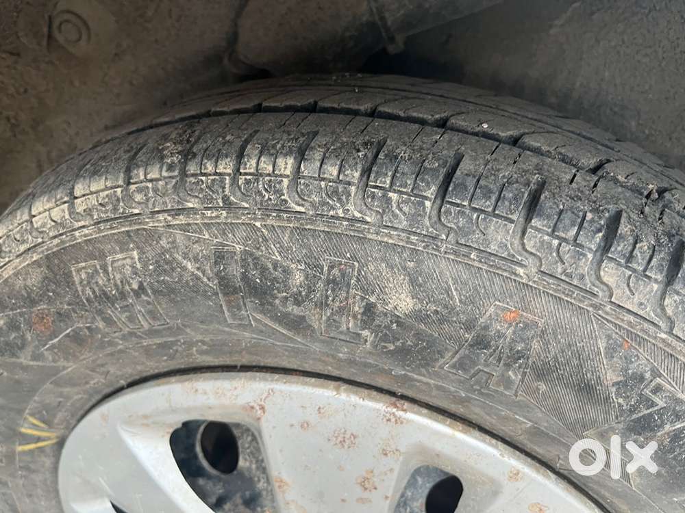 Engine Seal Hai