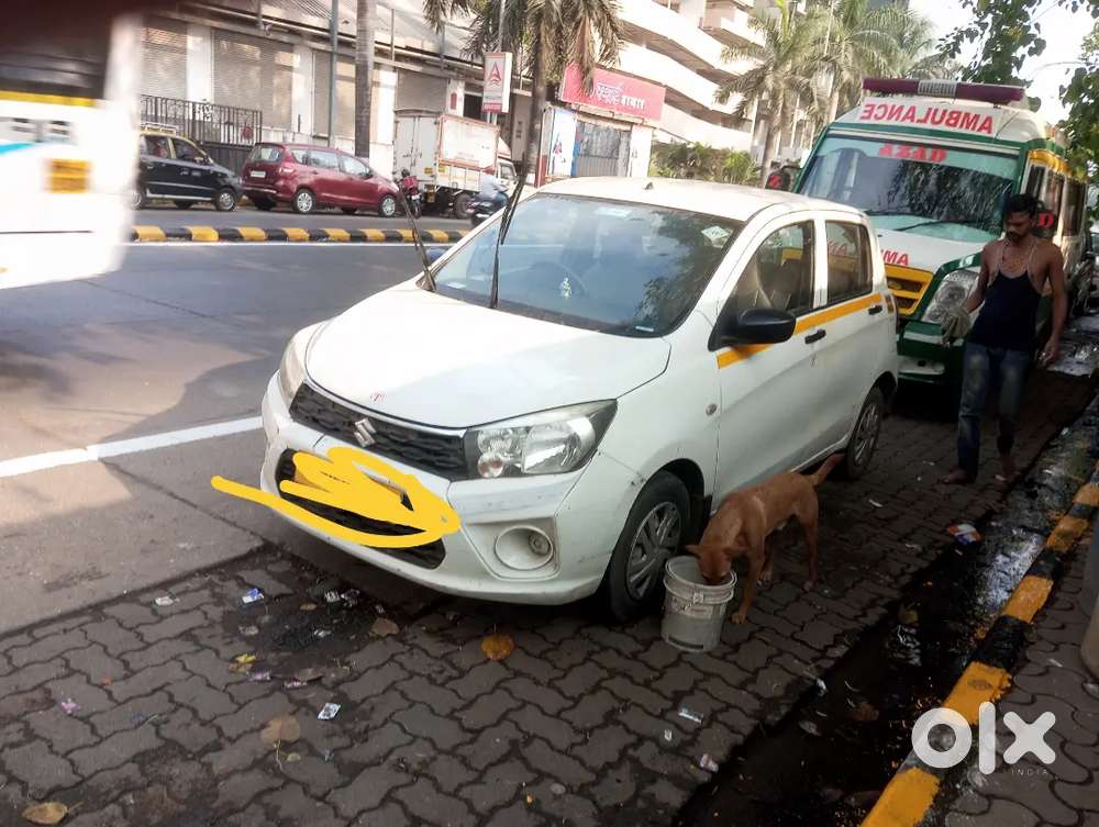 Maruti Suzuki Celerio 2019 Cng & Hybrids 242000 Km Driven