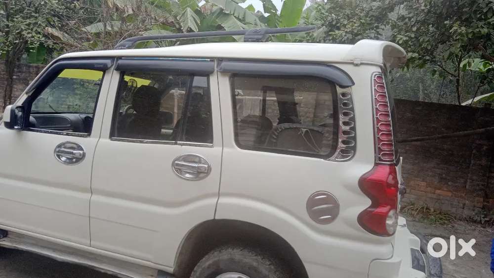 Good Condition My Vecil