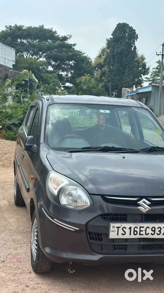 Alto 800 2015