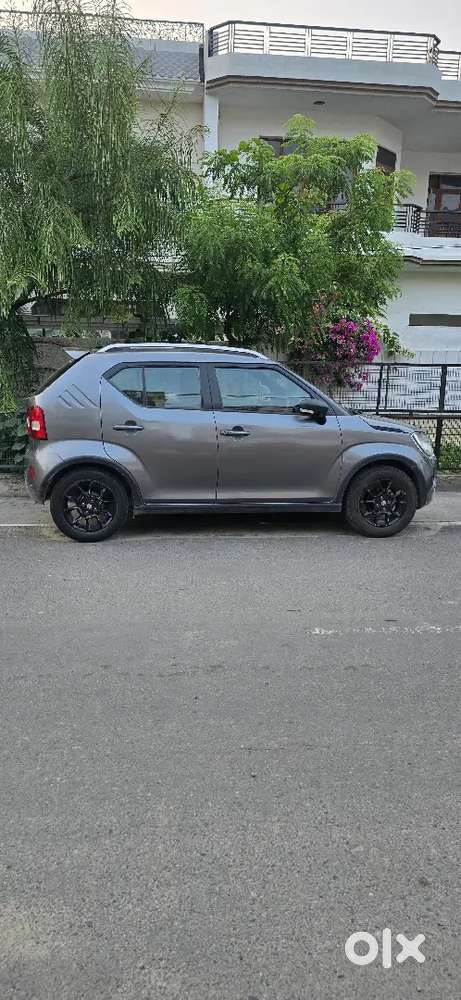 Maruti Suzuki Ignis 2022 Petrol Manual Excellent Condition