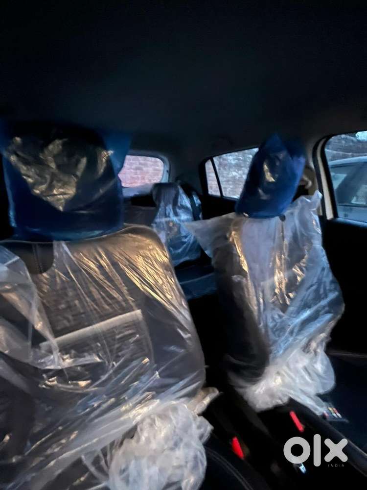 11 Months Old Swift 2025