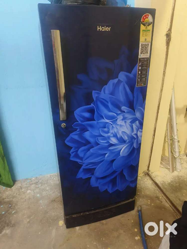 New Fridge