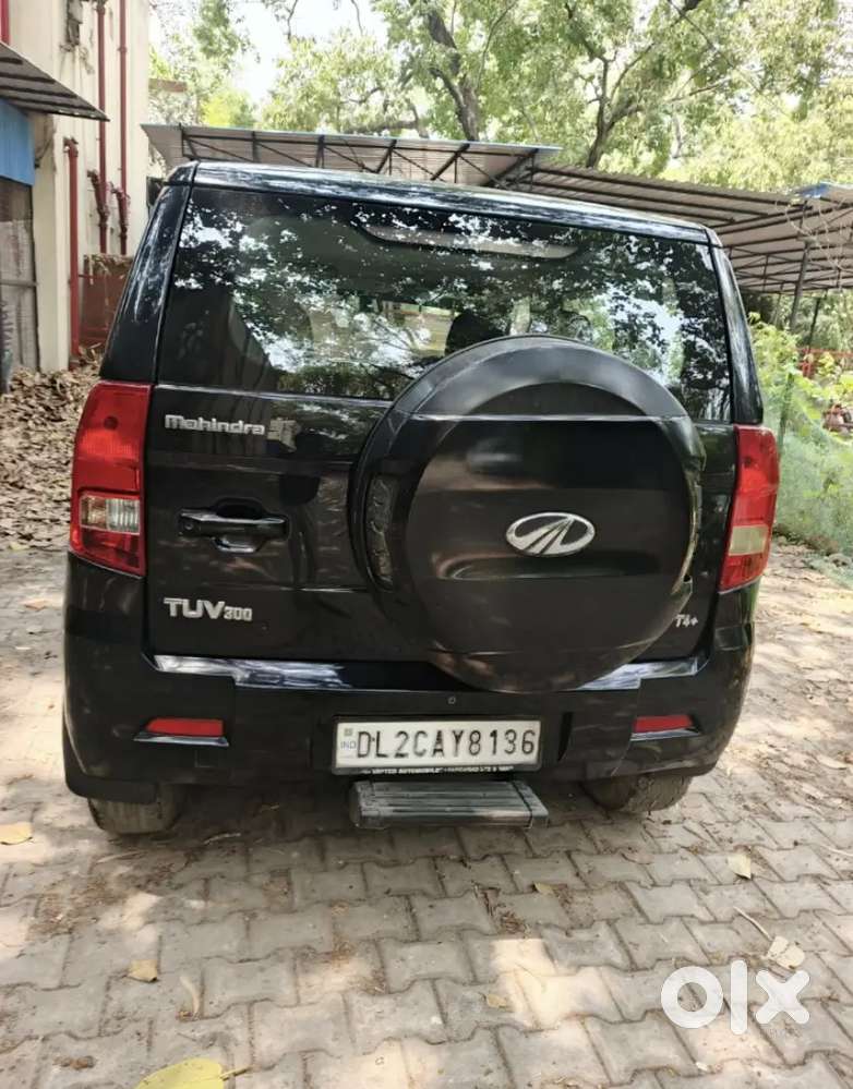 New Condition Koi Kami Nhi