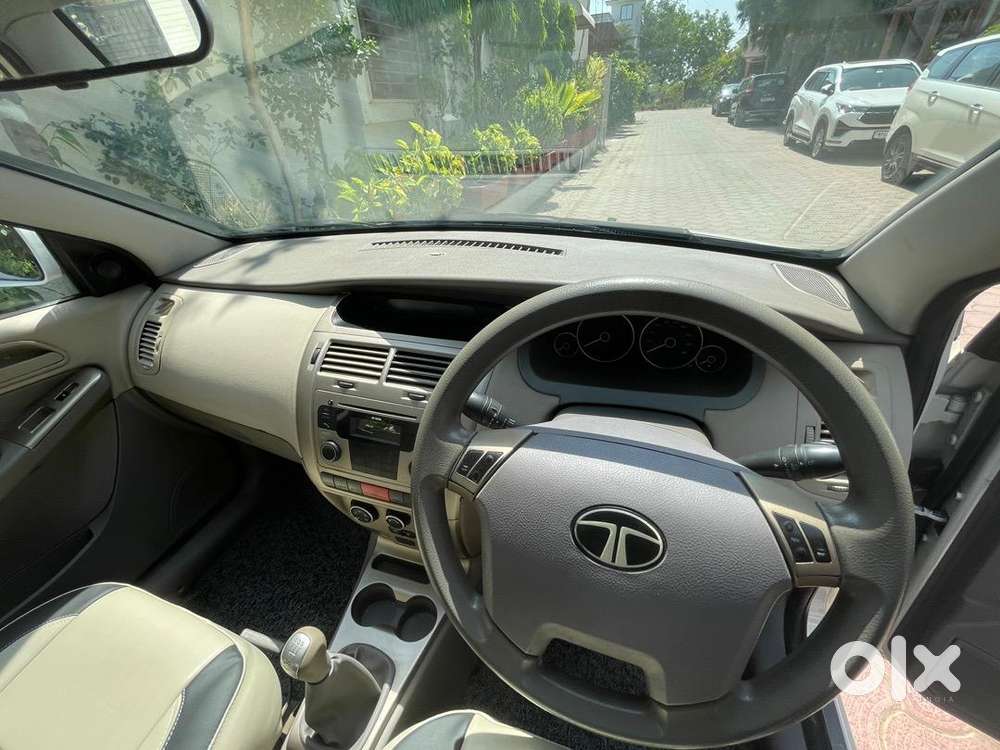 Tata Petrol Car 2010