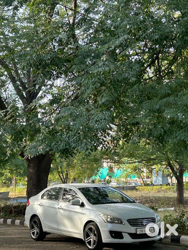 Maruti Suzuki Ciaz 2015