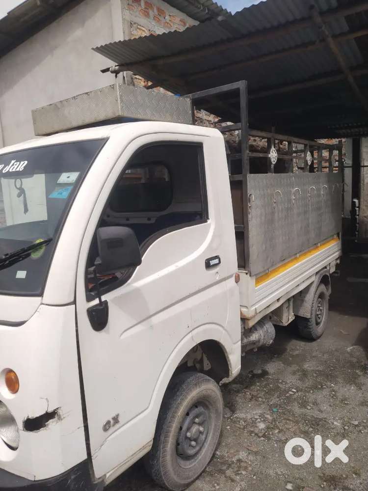Tata ace gold