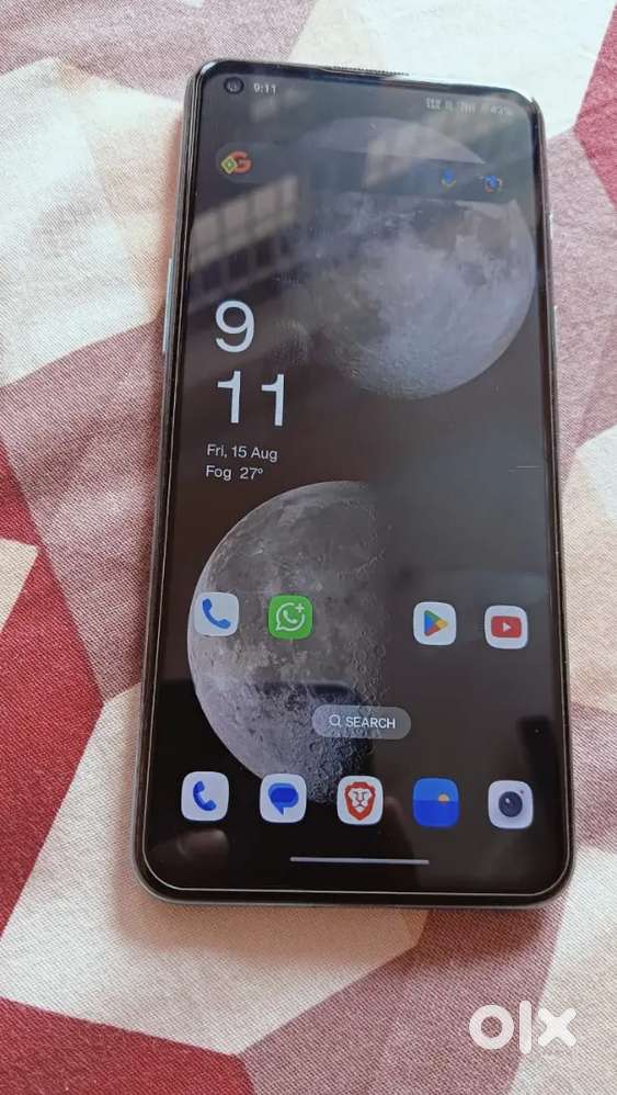 Custodia a portafoglio in pelle animale fiore dipinto di cartone animato per OnePlus Nord N10 N100