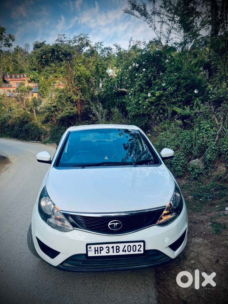 Tata Petrol Car 2016