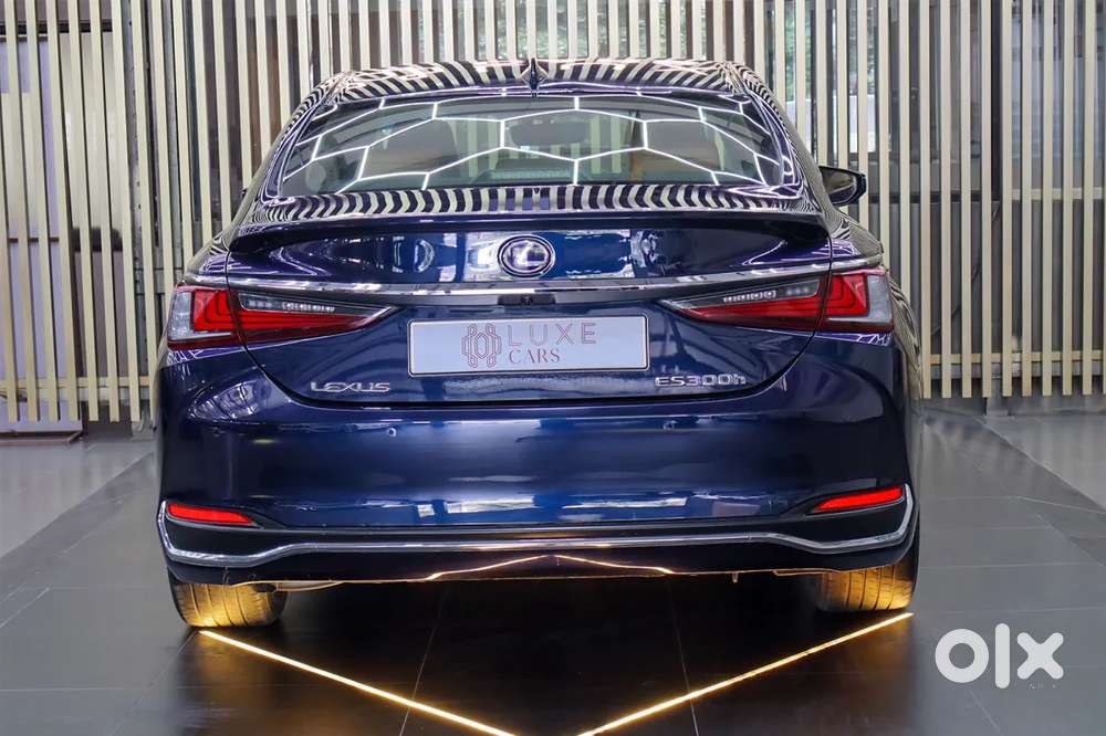 Lexus Es, 2022, Petrol