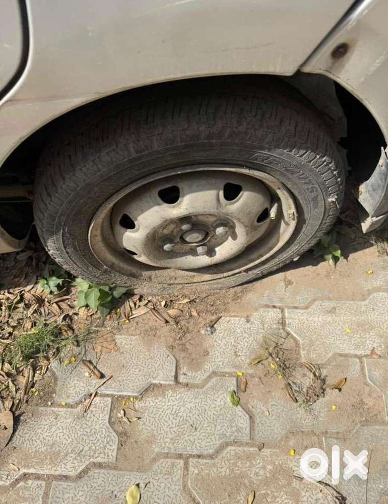 Maruti Suzuki Car 2009