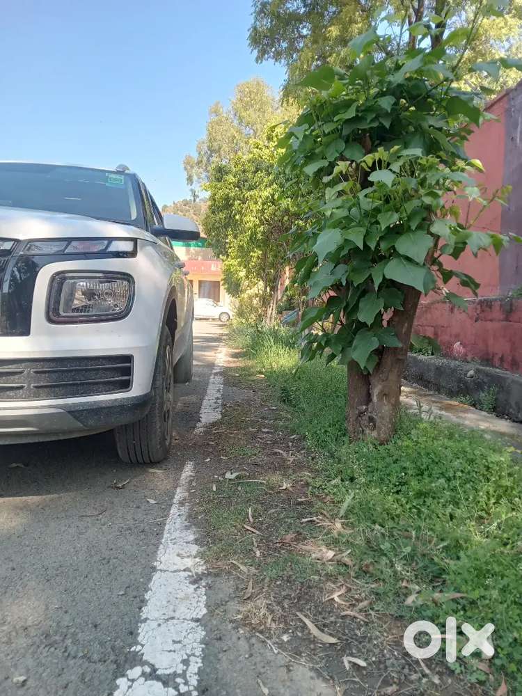 Hyundai Venue 2025 Petrol 3000 Km Driven