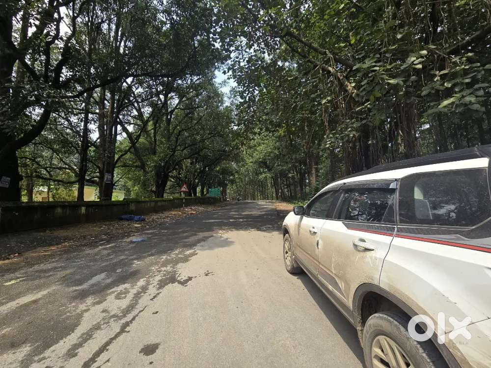 Showroom Condition Fresh Car