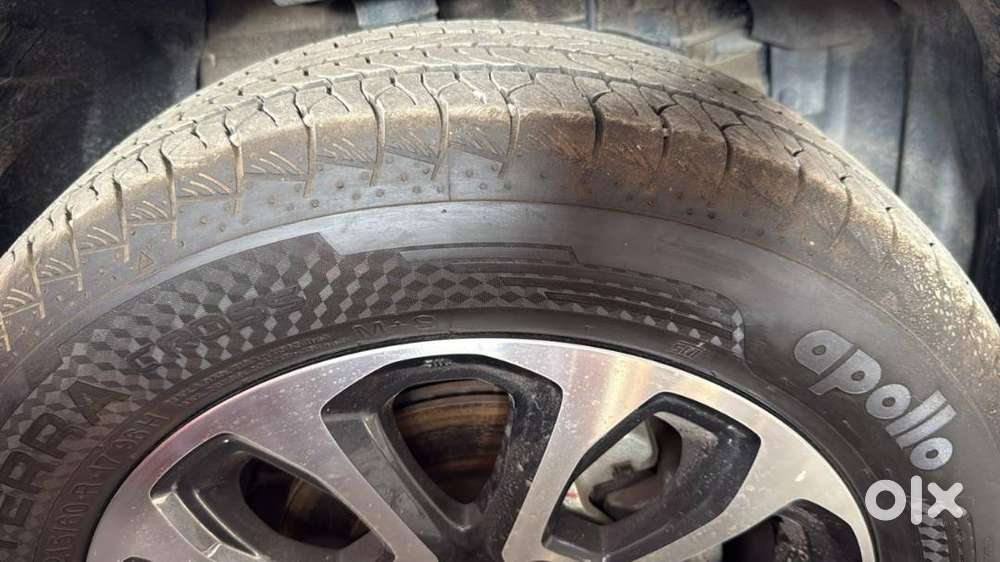 Maruti Suzuki Grand Vitara 2024 Petrol 7250 Km Driven