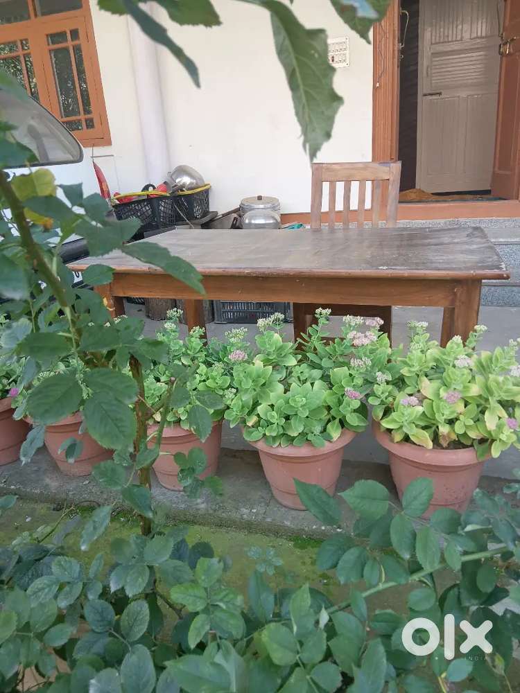 Dining set