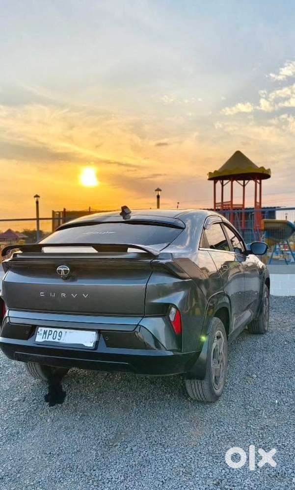 Tata Curv Pure Plus S 2025