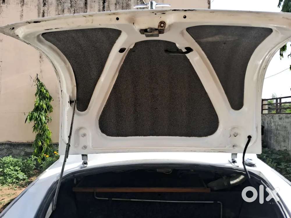 Ambassador 2013 Modal  Ac