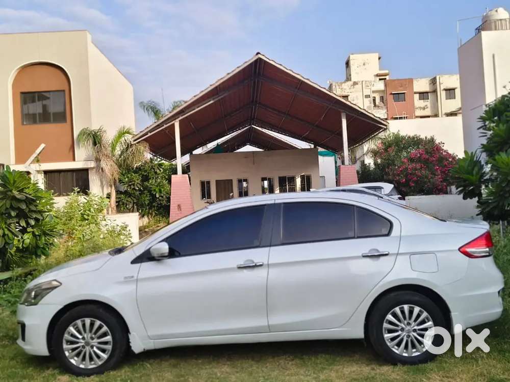 Maruti Ciaz Zdi Shvs Next To Showroom Condition