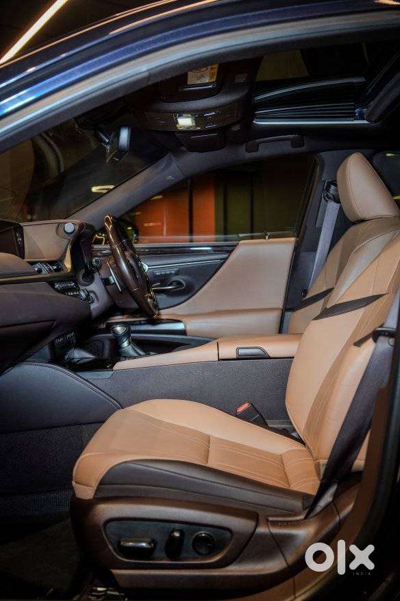 Lexus Es 300h Luxury, 2020, Petrol