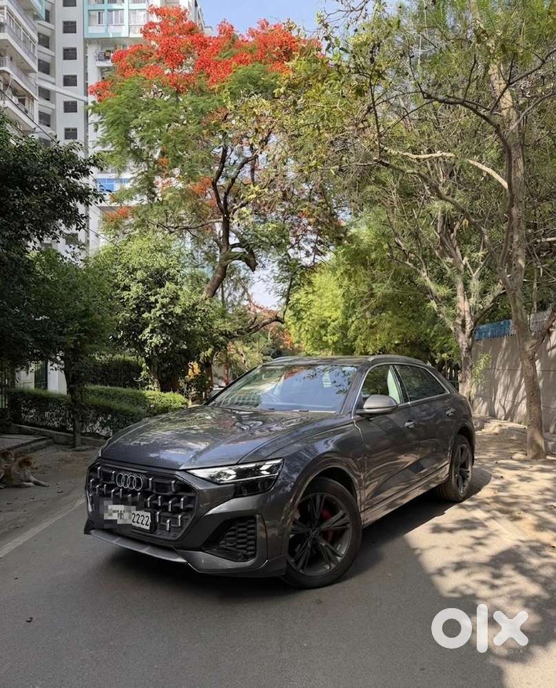 Audi Q8 Petrol 2024