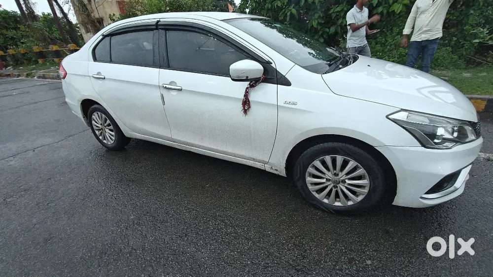 Maruti Suzuki Ciaz Zdi 2015 Diesel