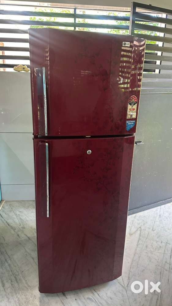 Lg 5* 2 door fridge
