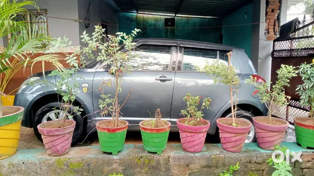2011 Maruti Suzuki Swift - Petrol Automatic