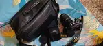 Nikon D3100