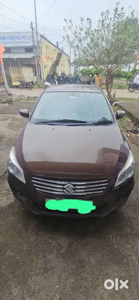 Ciaz Zdi+ Shvs Diesel