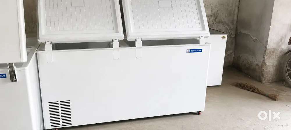 kg購入不可‼️ Blue Star 500L Double Door Deep Freezer – Heavy Duty & Convertible