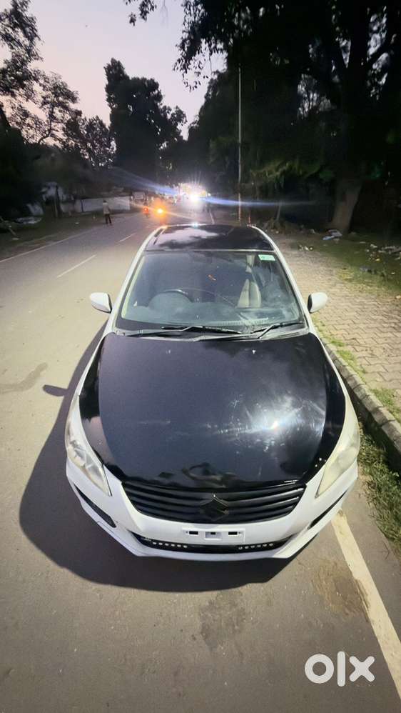 Maruti Suzuki Ciaz 2015 Car