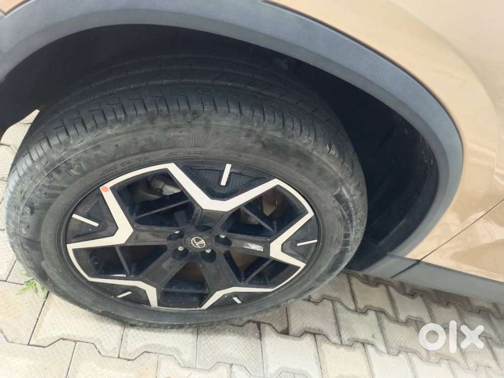 Tata Safari Accomplished Plus Dual Tone, 2023, Diesel