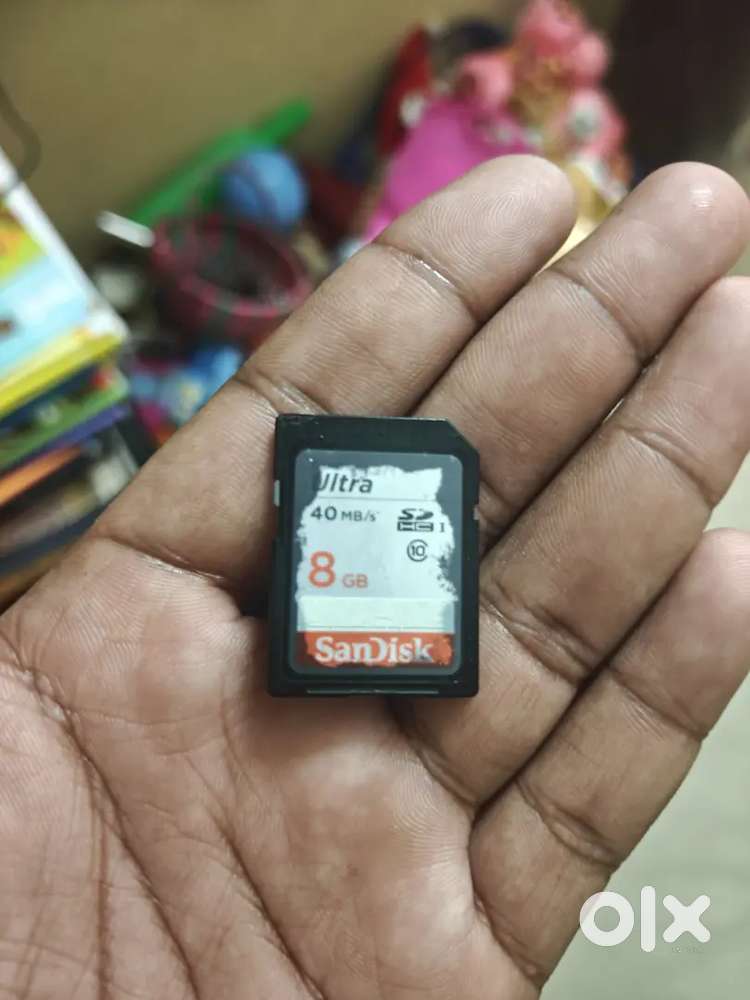 Camera bag and SanDisk 8gb memory card