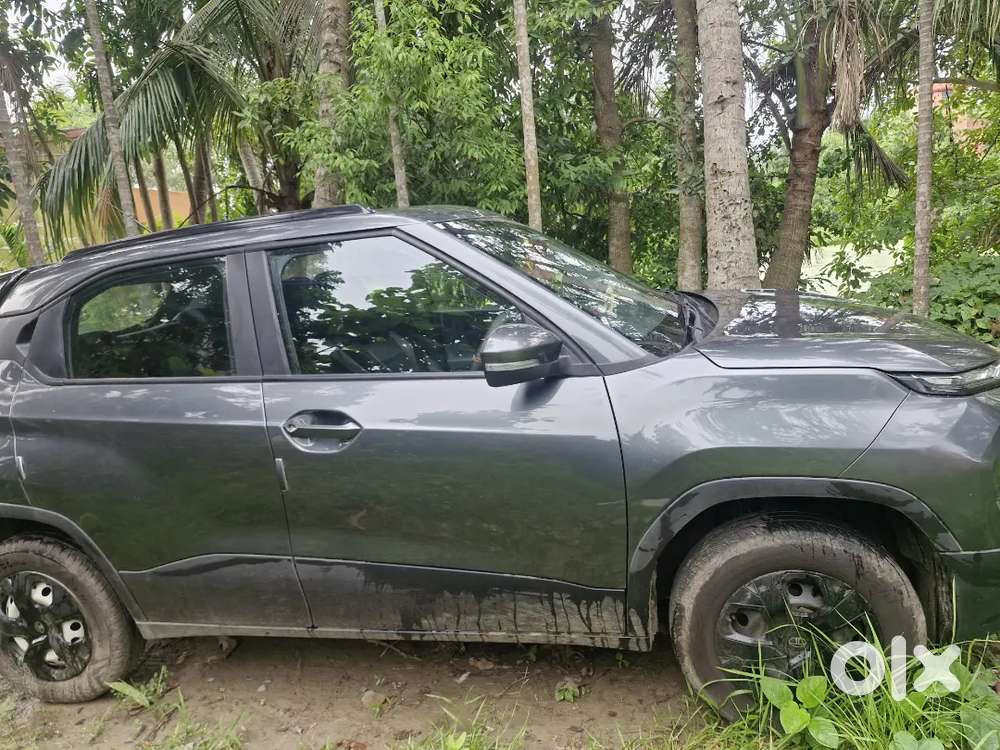 Tata Punch 2025 Petrol 8500 Km Driven