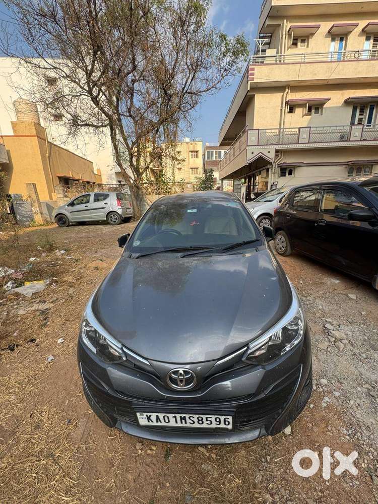 2019 Model