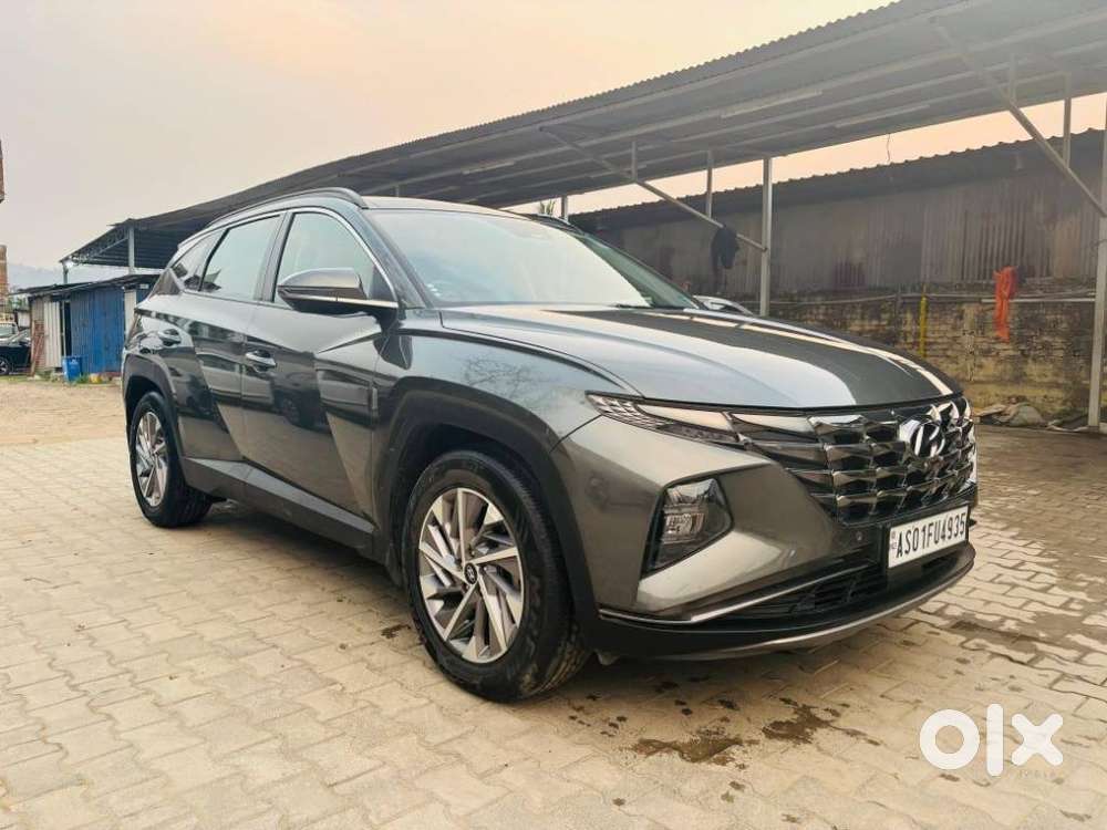 Hyundai Tucson 2.0 Signature 4wd Diesel At Dual Tone, 2024, Diesel