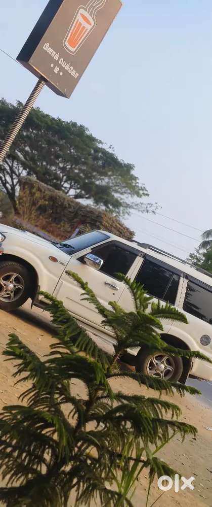 Mahindra Scorpio 2010 Diesel Car