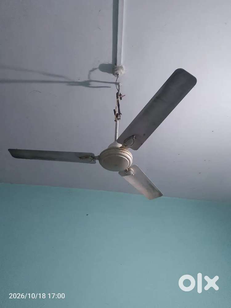 Ceiling Fan