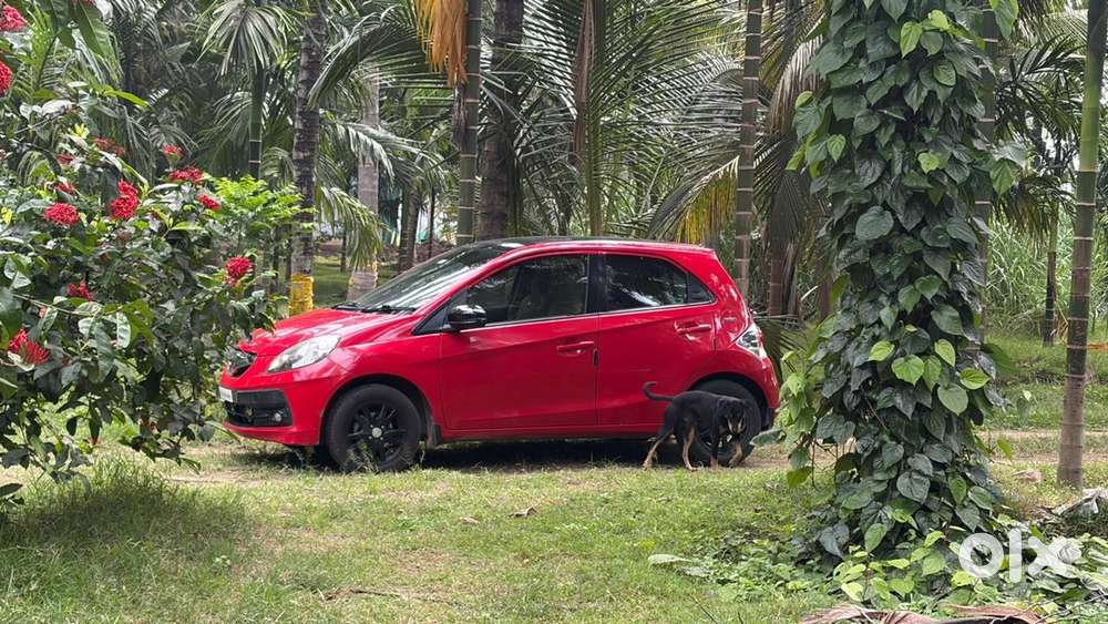 Honda Brio 2015 Automatic Transmission Petrol Well Maintained